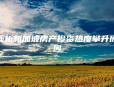 MK-关于赛地聚焦——德甲今晨热度飙升，纽卡斯尔豪取连胜，更衣室稳定，更衣室氛围转暖的信息